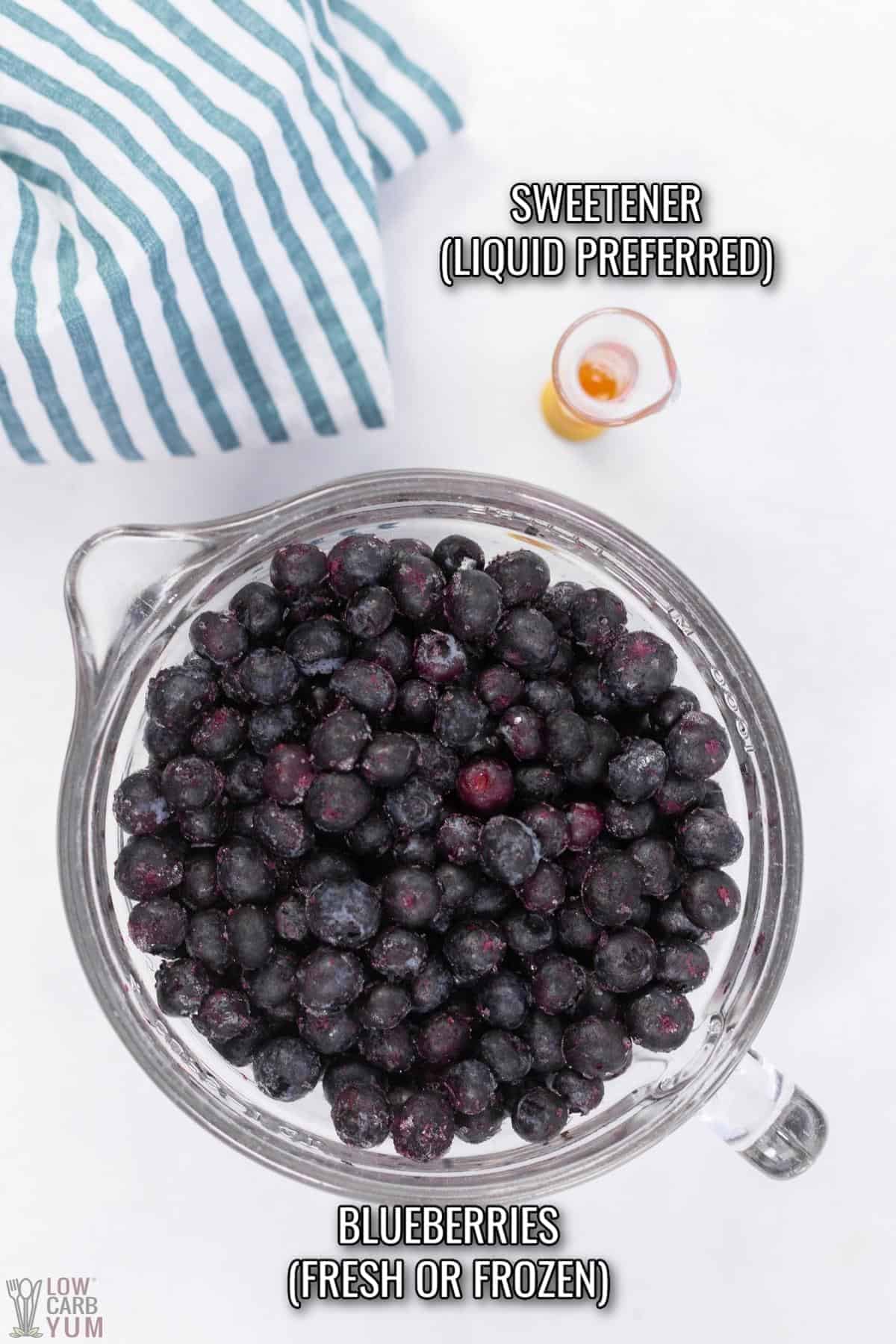 ingredients for blueberry fruit leather.