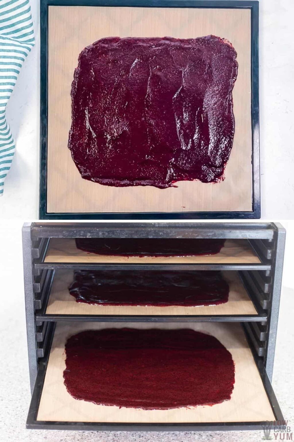 Blueberry Fruit Leather Low Carb Yum