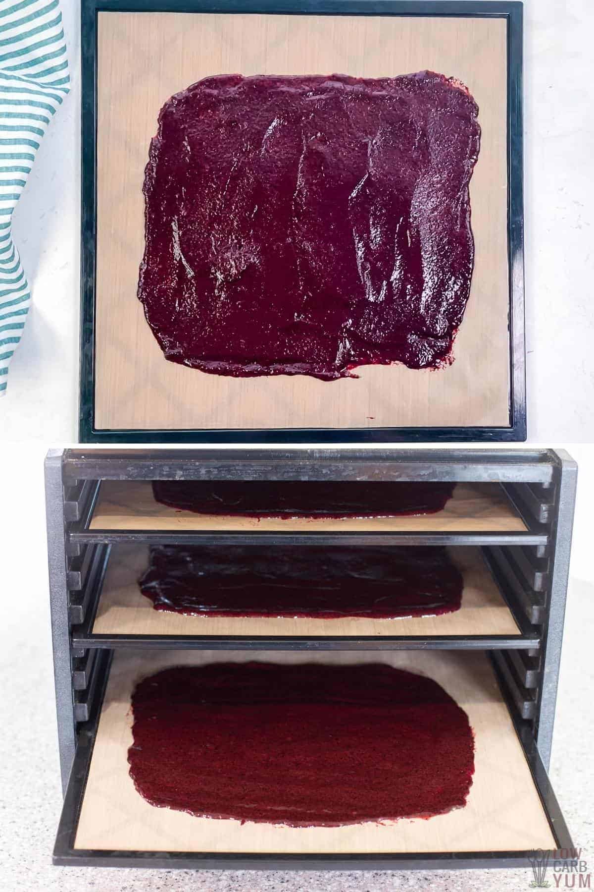 blueberry puree spread onto dehydrator trays