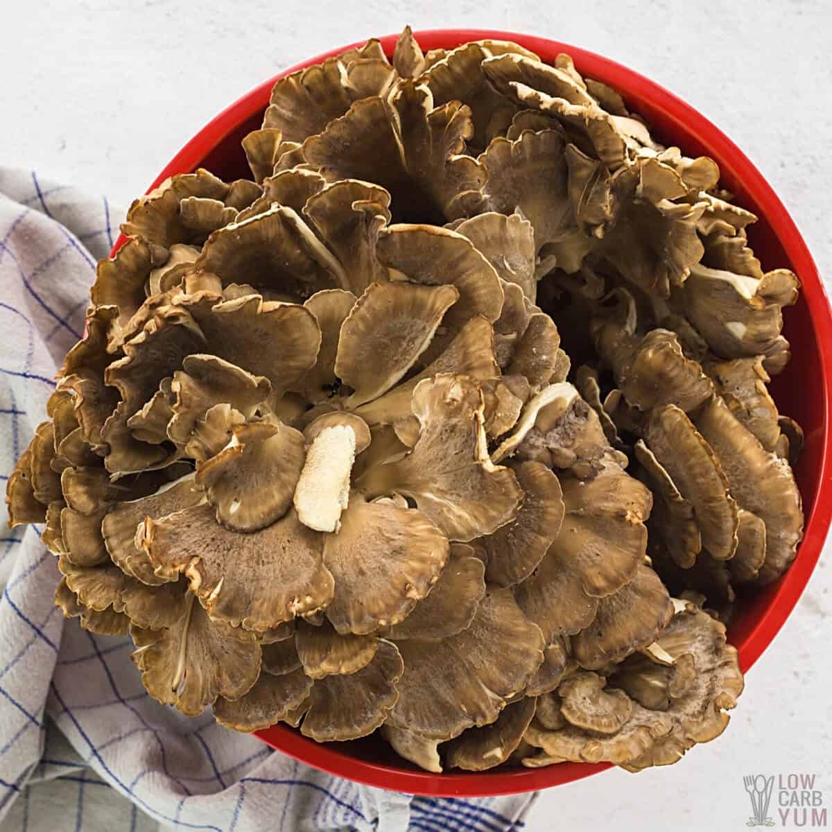 sheepshead maitake mushroom in red bowl