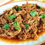Easy low carb pulled pork recipe