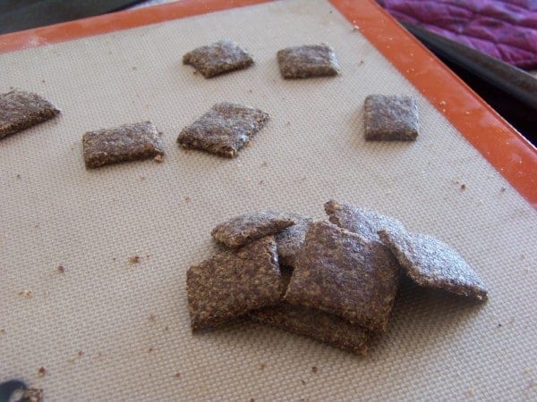 Garlic Parmesan Flax Seed Crackers