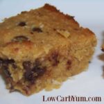 Chocolate Chip Coconut Bars – Gluten Free