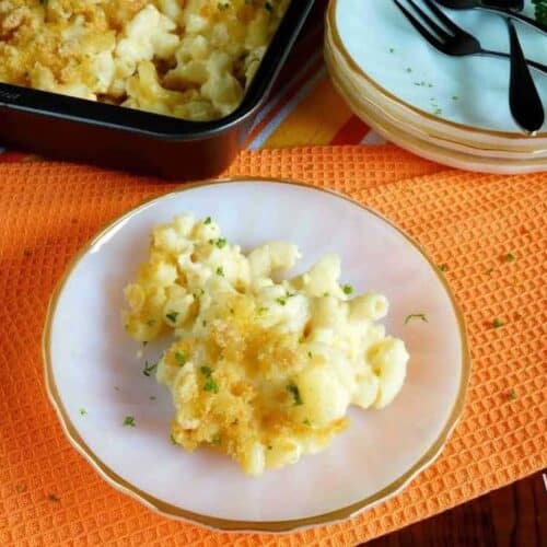 Mac and Cheese with Low Carb Macaroni Low Carb Yum