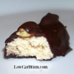 Coconut low carb candy bars