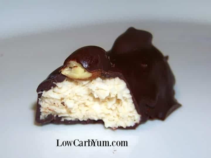 Coconut low carb candy bars