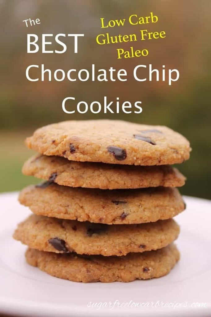 Paleo flourless chocolate chip cookies recipe