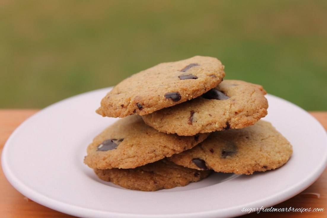 Paleo flourless chocolate chip cookies recipe