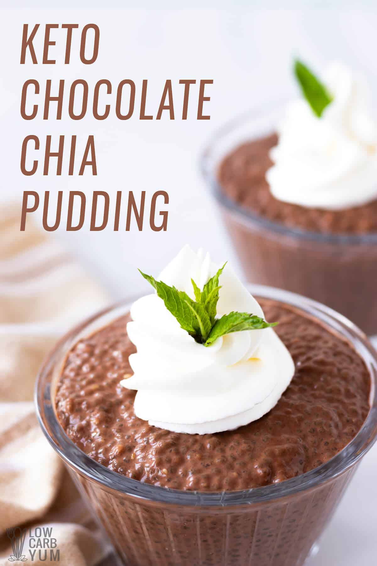 chocolate chia pudding