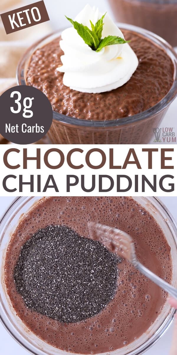 chocolate chia pudding recipe