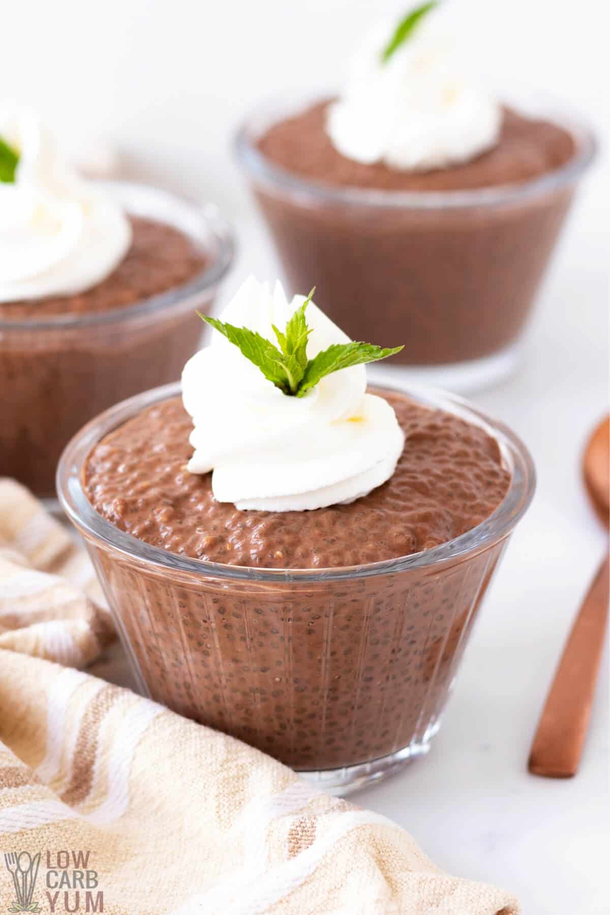 keto chocolate chia seeds pudding