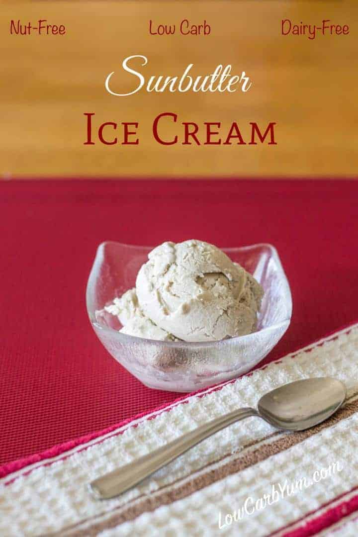 Sunbutter Sugar Free Dairy Free Ice Cream Recipe | Low Carb Yum