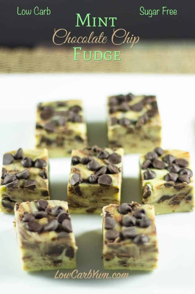 sugar free low carb mint chocolate chip fudge recipe