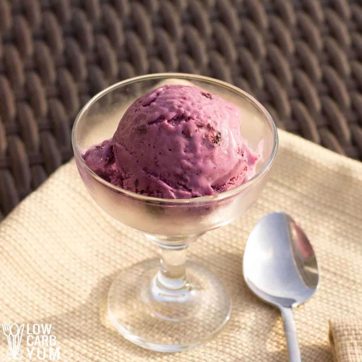 Blueberry Ice Cream Keto Dairy Free