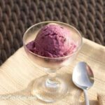 low carb blueberry coconut lime ice cream recipe
