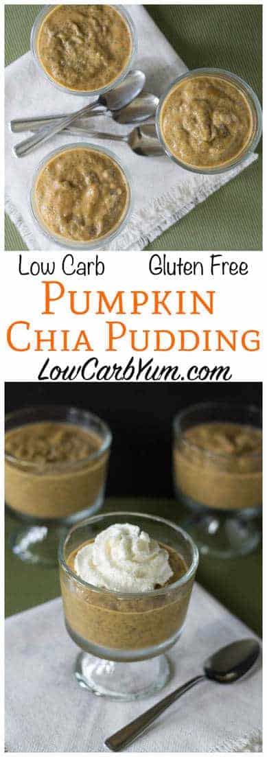 Enjoy the taste of delicious pumpkin pie without all the work. It takes less than five minutes to prepare gluten free low carb pumpkin pie chia pudding!