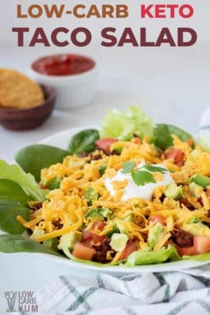 Keto Taco Salad Recipe (Low-Carb, Atkins) - Low Carb Yum