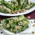 Low carb paleo cranberry walnut chicken salad