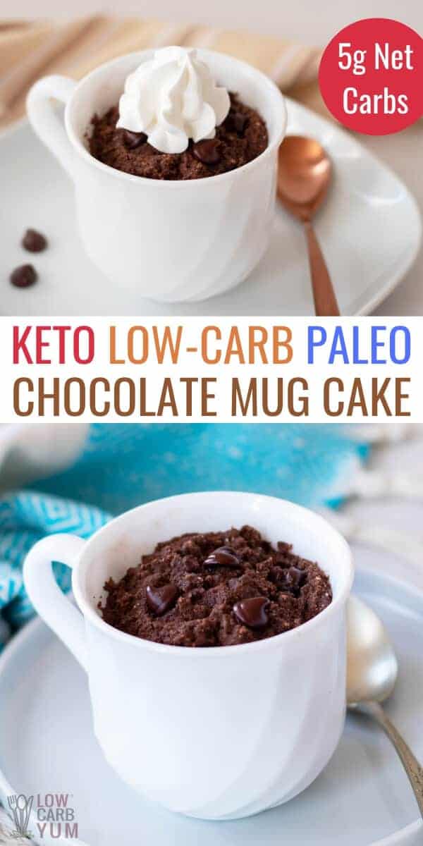 Keto Chocolate Mug Cake Recipe - Low Carb Yum