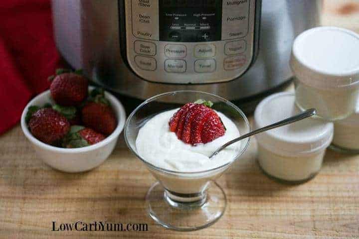 Instant Pot low carb yogurt