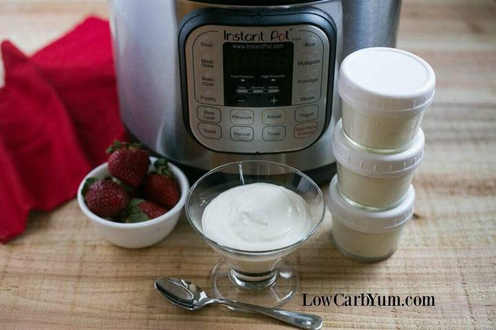 Instant Pot low carb yogurt