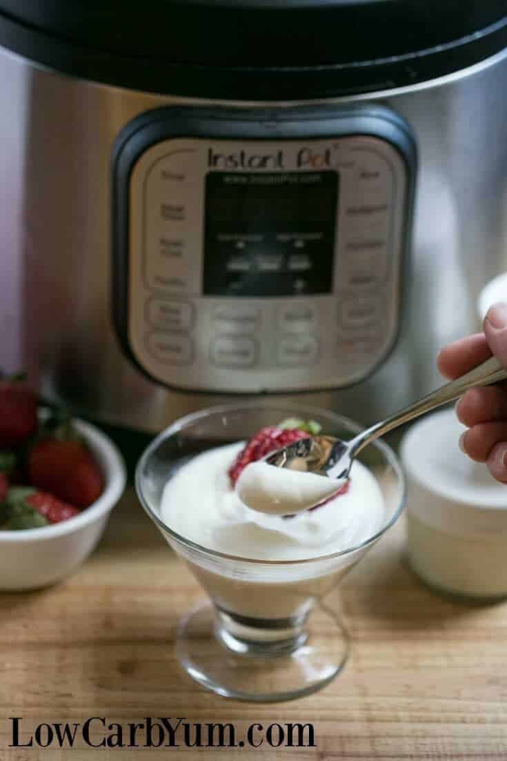 Instant Pot low carb yogurt