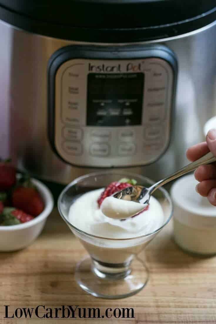 Yogurt temperature instant pot hot sale