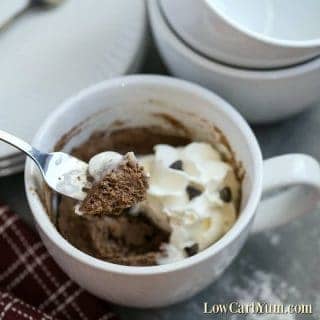 Paleo Gluten Free Chocolate Mug Cake Recipe