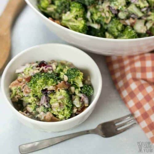 Sweet Broccoli Salad Supreme with Cranberries & Bacon - Low Carb Yum