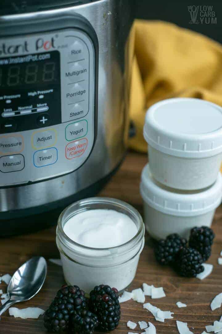 Easy coconut dairy free yogurt in the Instant Pot