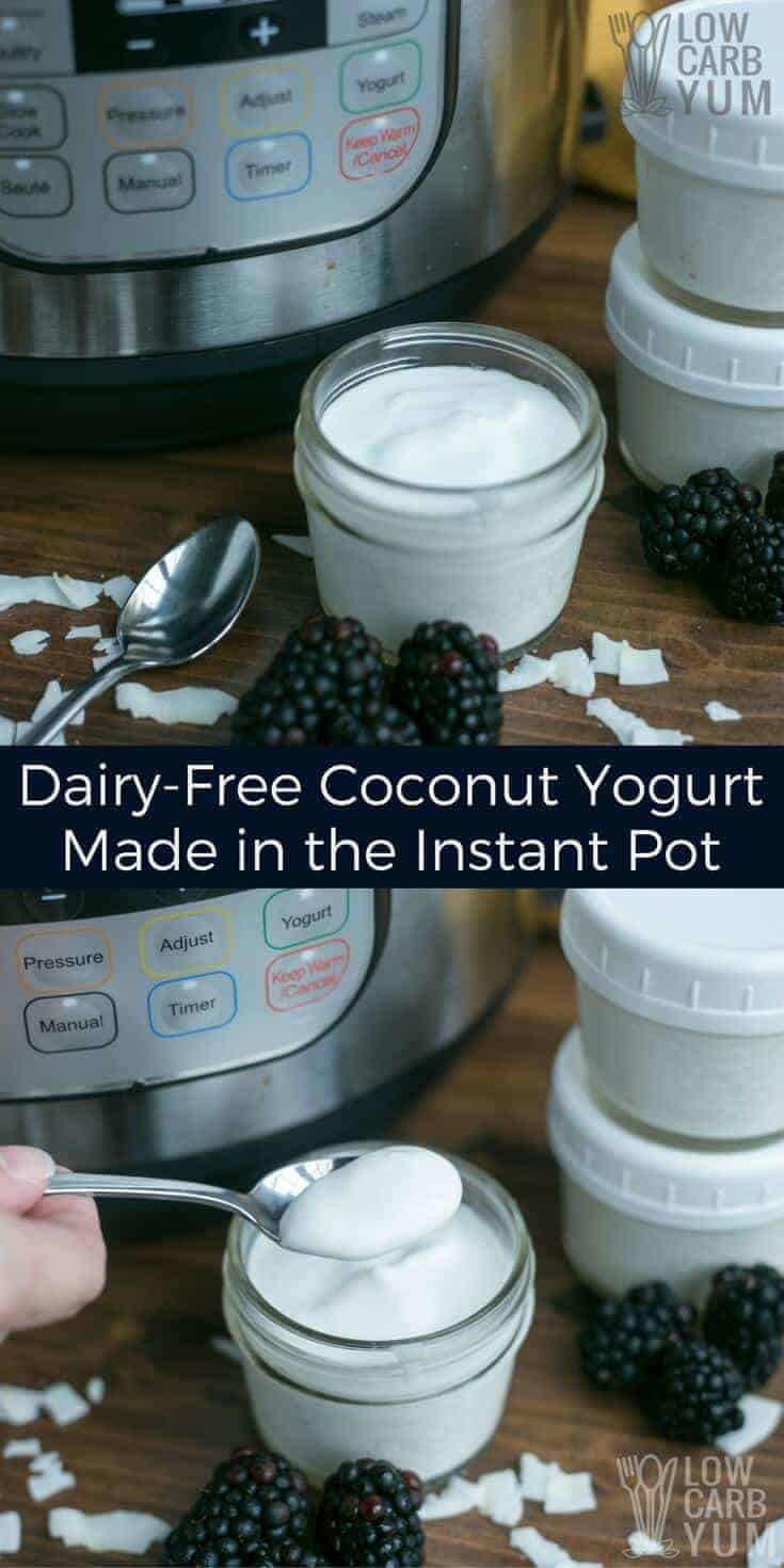 It's simple to make your own coconut dairy free yogurt in an Instant Pot. You only need two basic ingredients and a pressure cooker with a yogurt program. | LowCarbYum.com