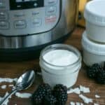 Coconut dairy-free yogurt recipe Instant pot