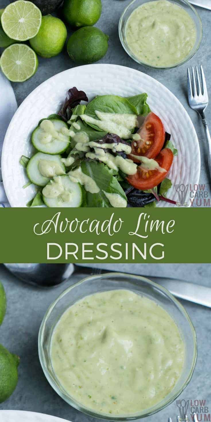 A dairy free avocado dressing with no sour cream or yogurt making it paleo friend and low inflammatory. So go ahead and enjoy this delicious salad dressing. #dairyfree #paleo #avocado #saladdressing #lowcarb #keto #ketorecipes | LowCarbYum.com