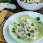 tuna and egg salad with sour cream on lettuce