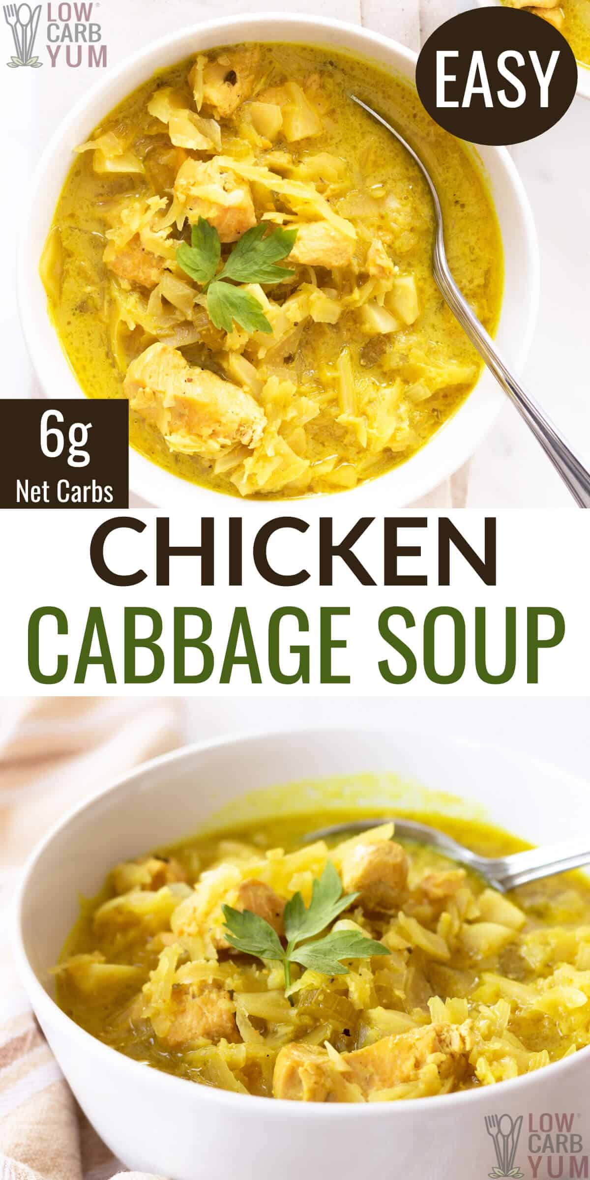 chicken cabbage soup