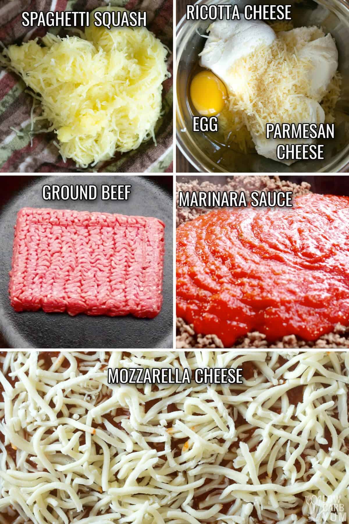 ingredients for spaghetti squash lasagna recipe