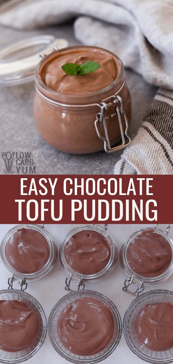 Quick & Easy 4Ingredient Chocolate Tofu Pudding Recipe Low Carb Yum