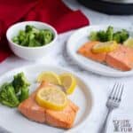 Frozen salmon instant discount pot