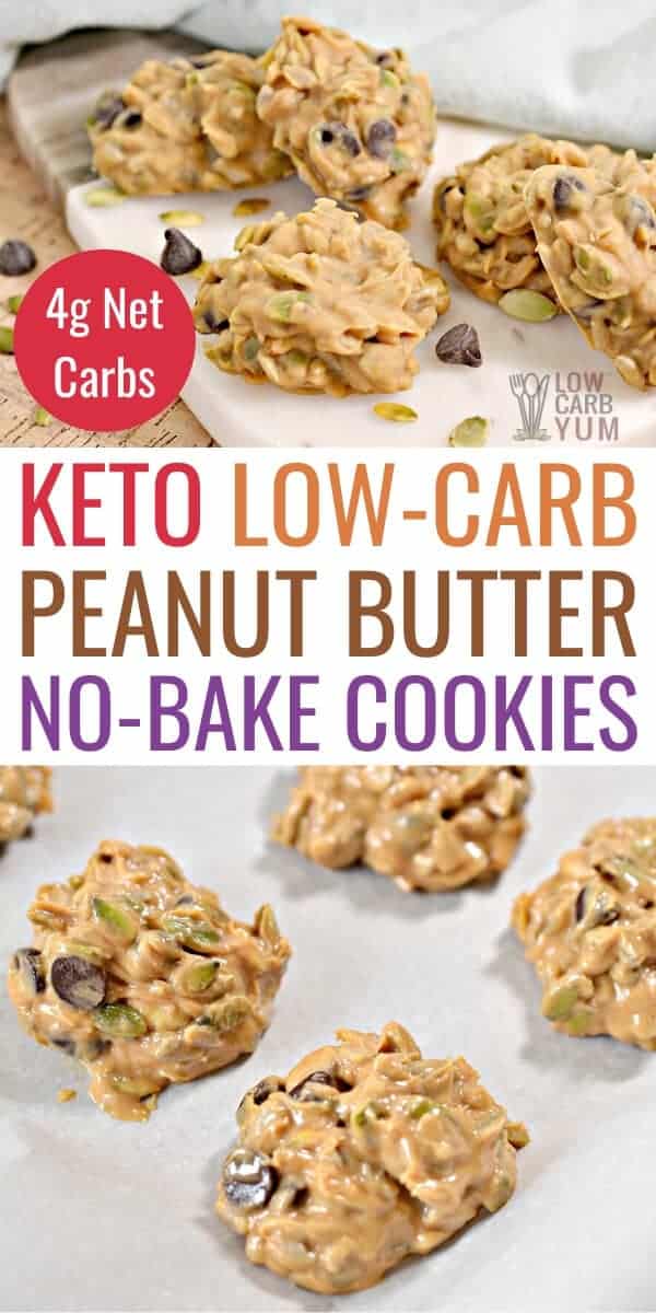 Keto No Bake Cookies with Peanut Butter Low Carb Yum