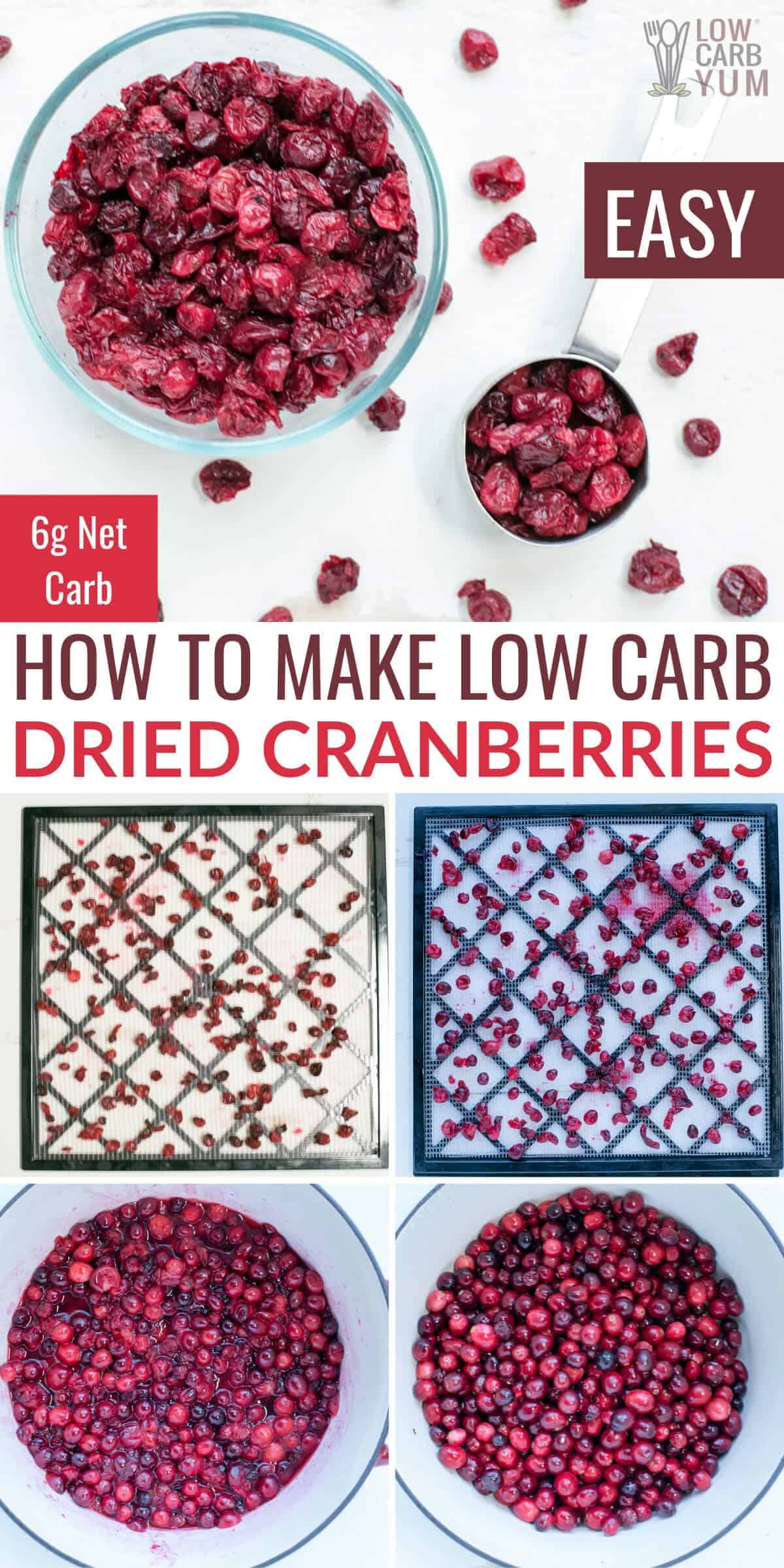 How to Make Dried Cranberries with No Sugar Low Carb Yum