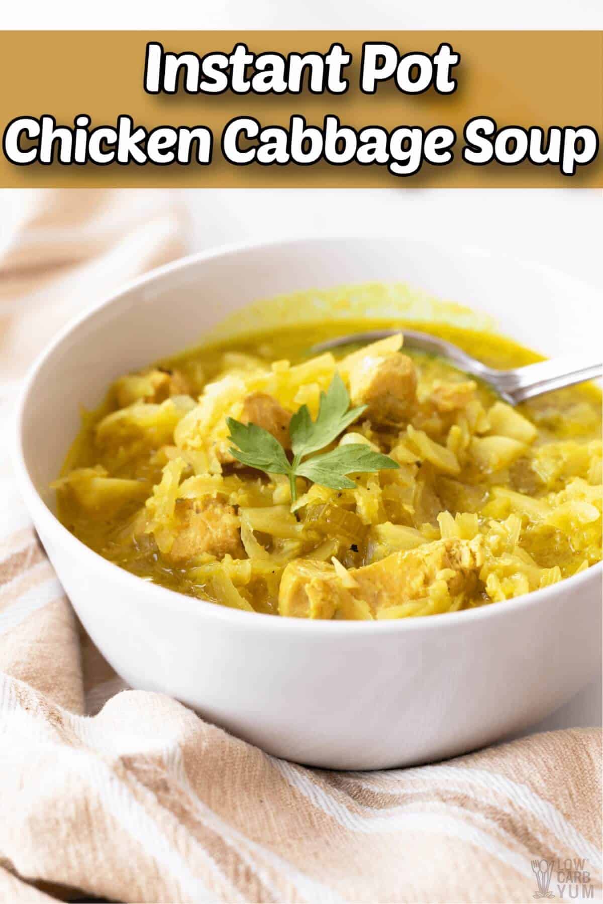 chicken cabbage soup recipe