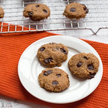 keto peanut butter chocolate chip cookies