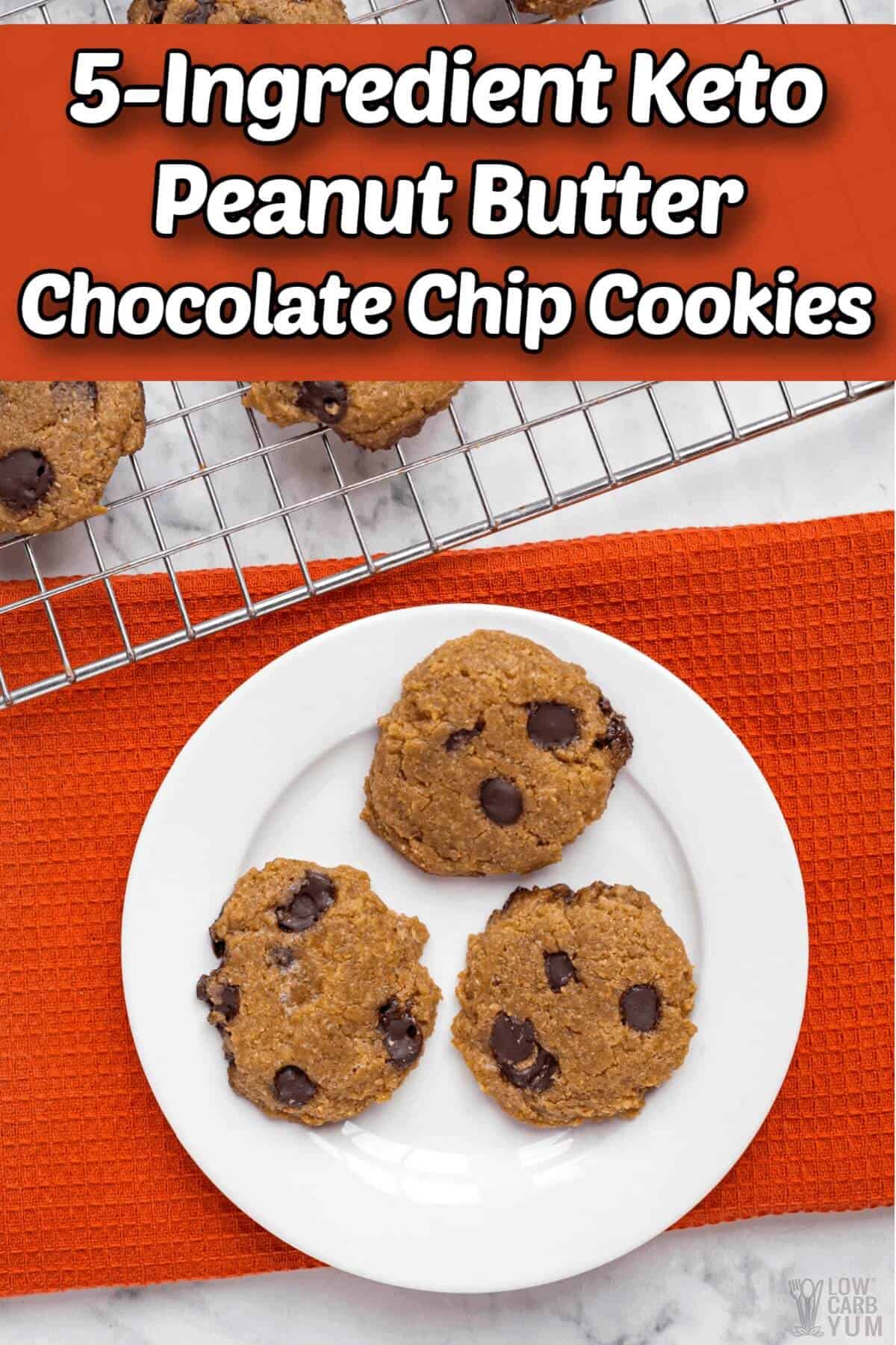 keto peanut butter chocolate chip cookies