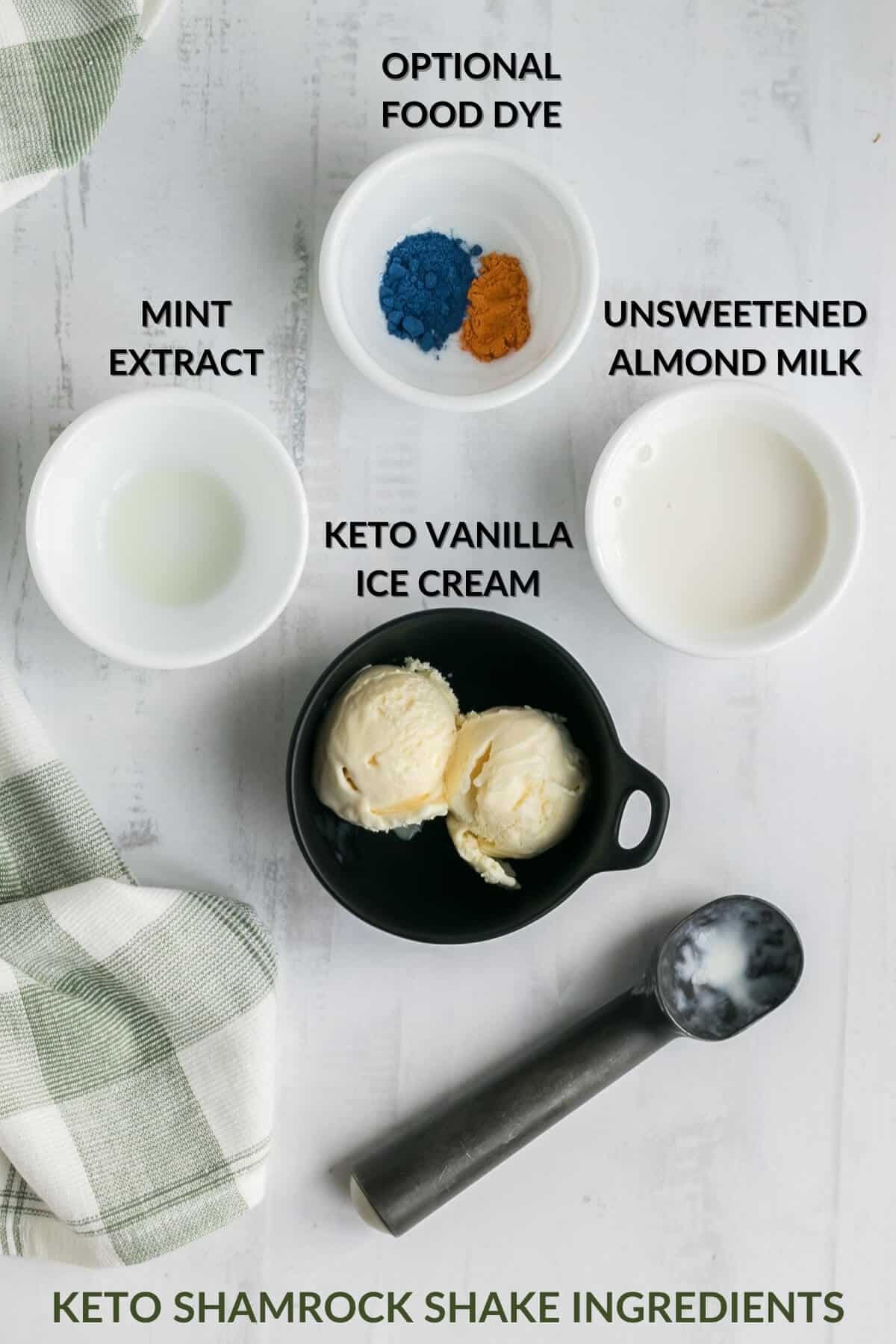 homemade mint shake ingredients
