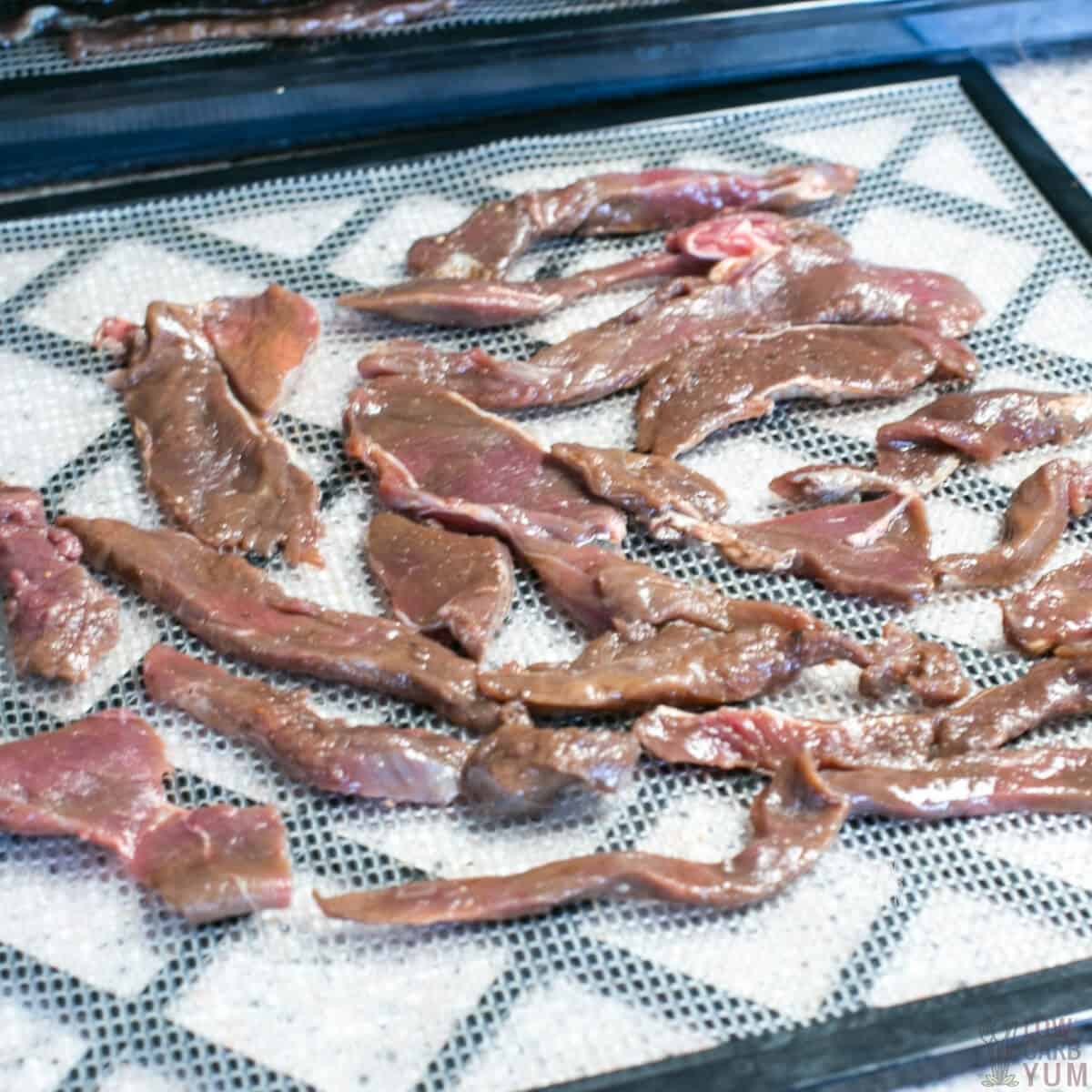 Venison Jerky – Dehydrating Meat: Tips, Safety, & Recipe