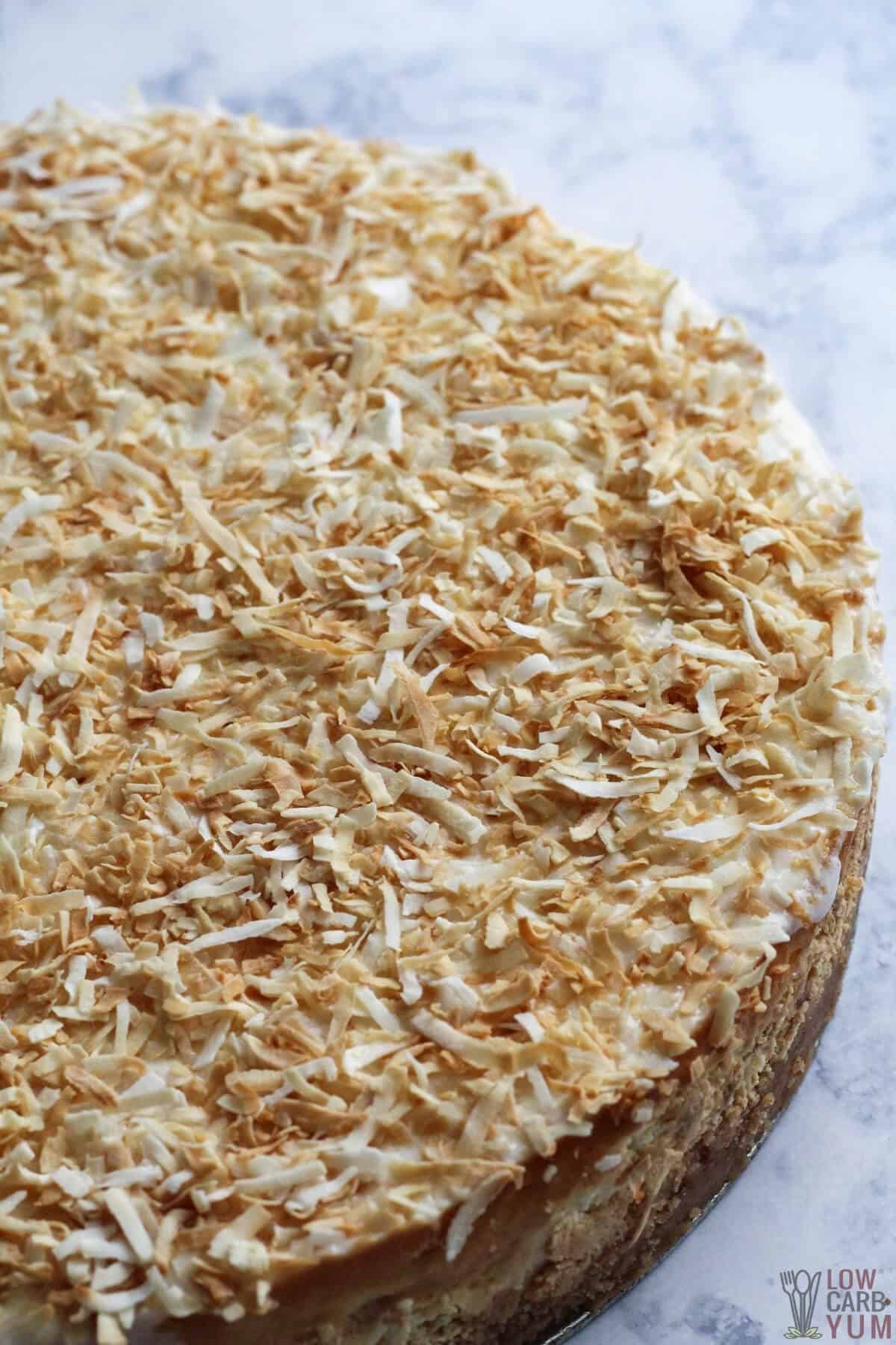 toasted coconut topped cheesecake