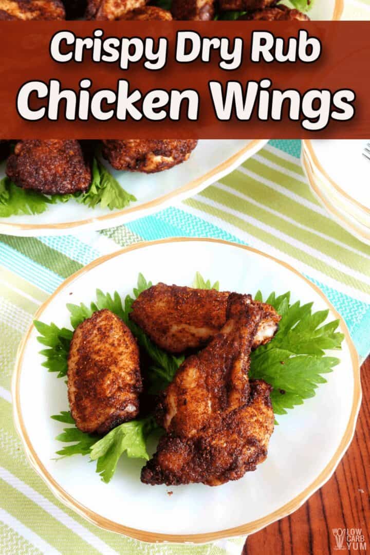 Easy Dry Rub Chicken Wings in Oven or Air Fryer - Low Carb Yum