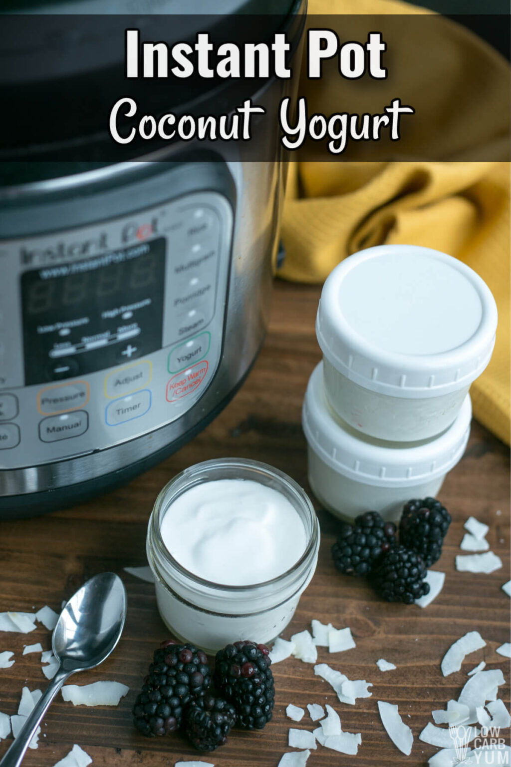 Instant Pot Coconut Yogurt (DairyFree Snack) Low Carb Yum