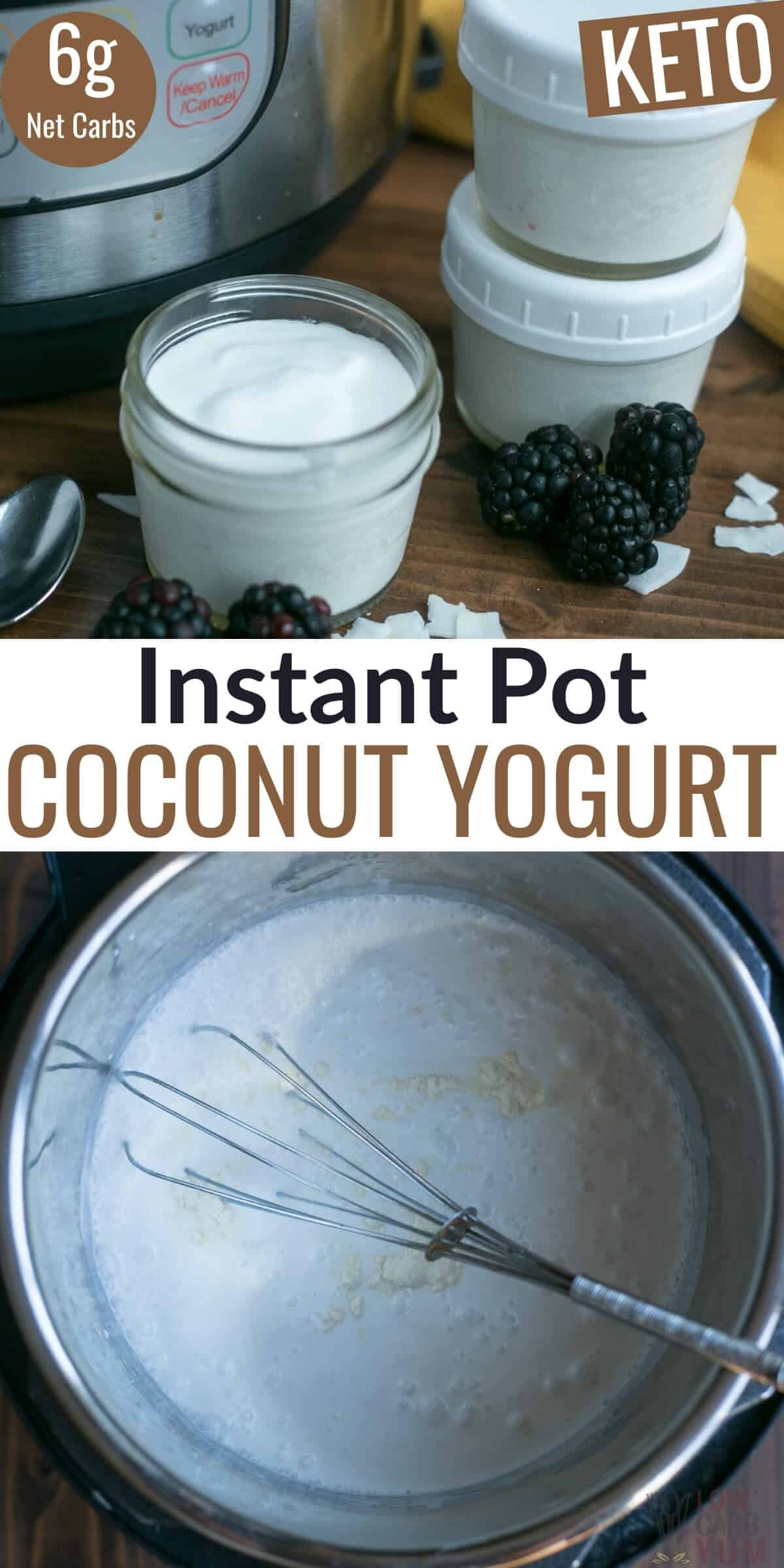 instant pot coconut yogurt pinterest image