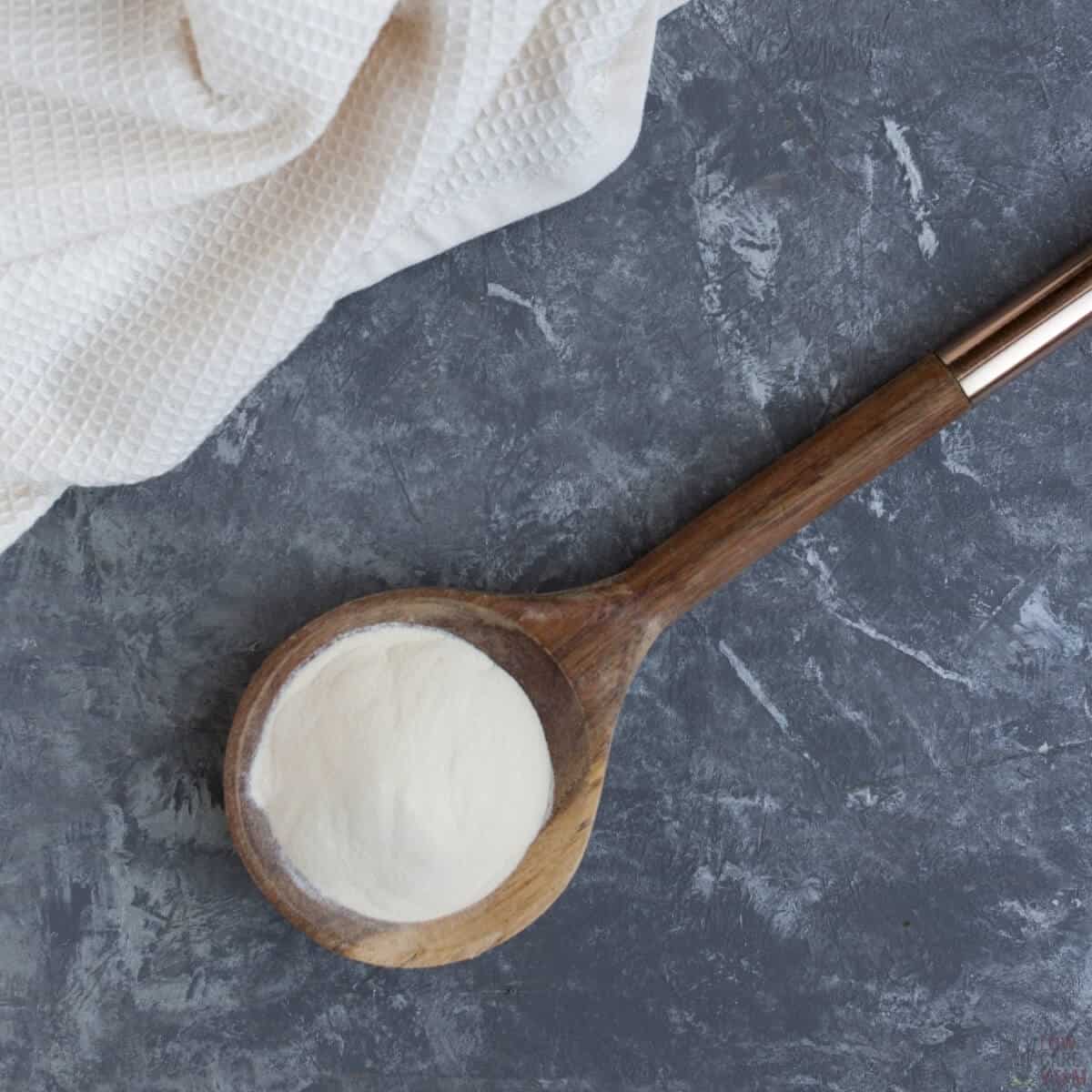 xanthan gum on large wooden spoon square image
